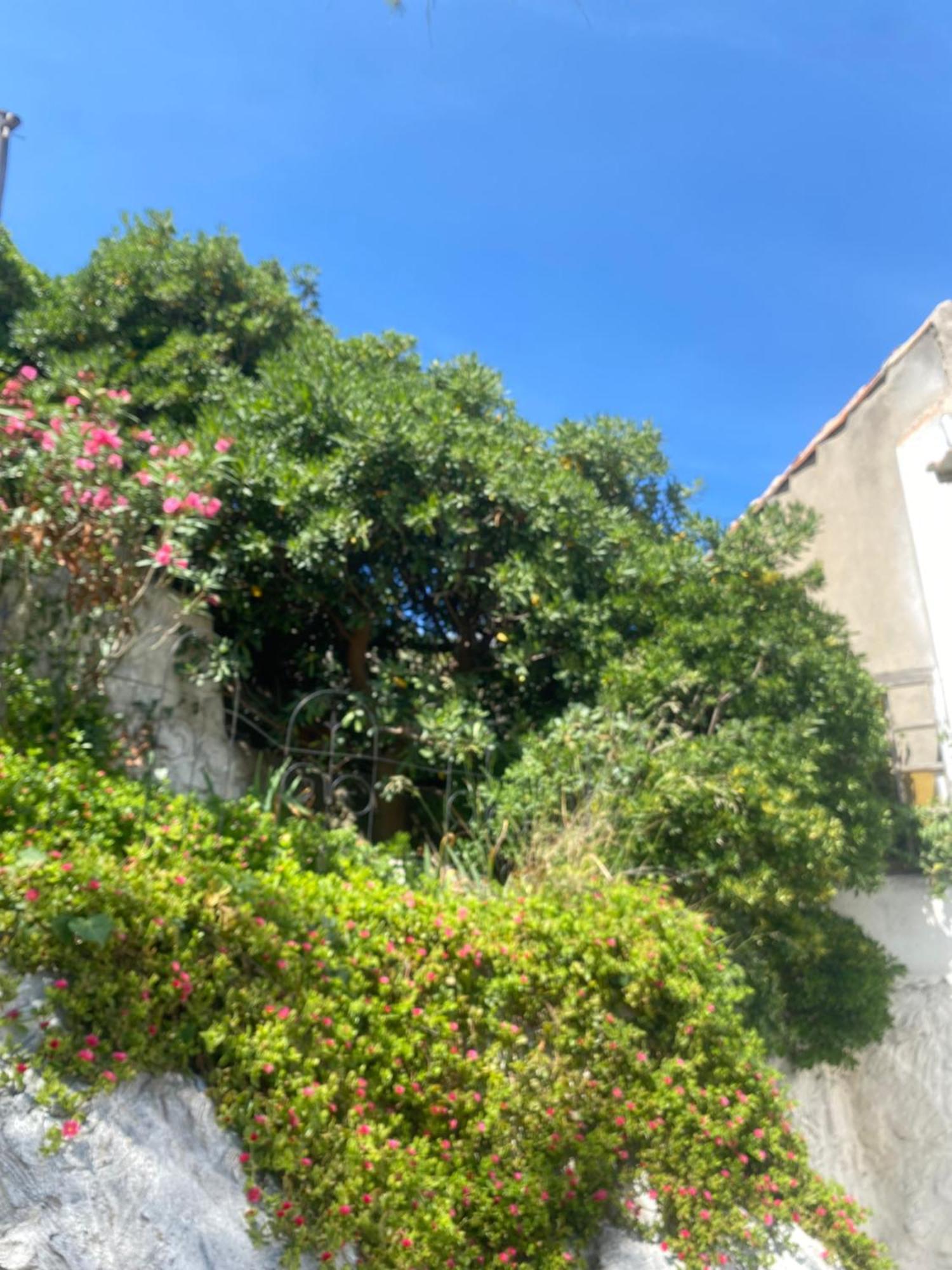 Au Coeur Du Parc National Du Massif Des Calanques, La Flibuste Des Goudes, Maison 2 Chambres, Climatisee, Jardins, Solarium, Proche Plage, Large Vue Mer Марсель Экстерьер фото